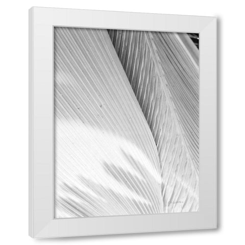 Leaf Abstract I White Modern Wood Framed Art Print by Goldstein, Ed