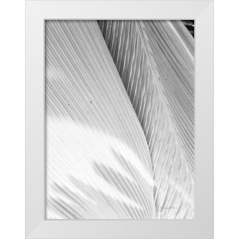 Leaf Abstract I White Modern Wood Framed Art Print by Goldstein, Ed