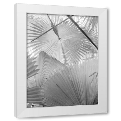 Leaf Abstract II White Modern Wood Framed Art Print by Goldstein, Ed