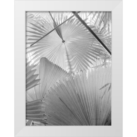 Leaf Abstract II White Modern Wood Framed Art Print by Goldstein, Ed