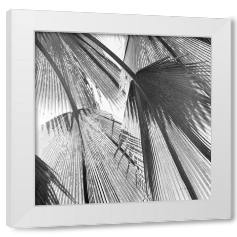 Leaf Abstract III White Modern Wood Framed Art Print by Goldstein, Ed