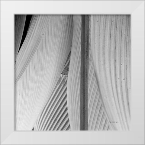 Leaf Abstract IV White Modern Wood Framed Art Print by Goldstein, Ed
