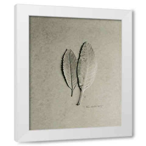 Serrated Duo White Modern Wood Framed Art Print by Goldstein, Ed