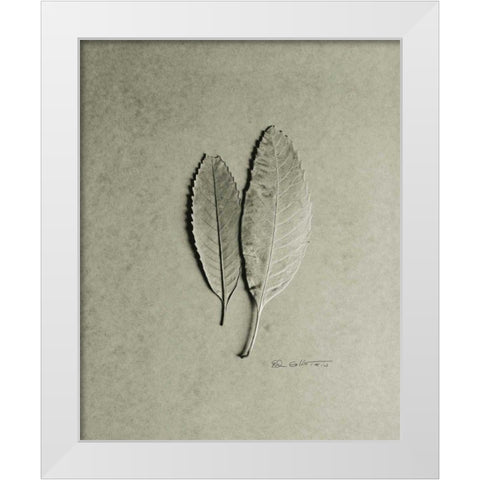 Serrated Duo White Modern Wood Framed Art Print by Goldstein, Ed