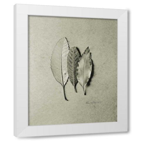 Serrated Trio White Modern Wood Framed Art Print by Goldstein, Ed