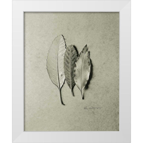 Serrated Trio White Modern Wood Framed Art Print by Goldstein, Ed