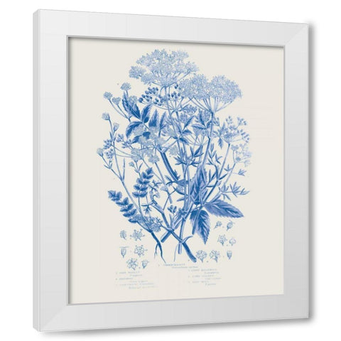 Flowering Plants I Mid Blue White Modern Wood Framed Art Print by Wild Apple Portfolio