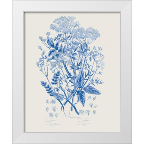 Flowering Plants I Mid Blue White Modern Wood Framed Art Print by Wild Apple Portfolio