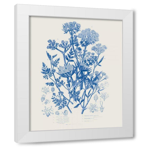 Flowering Plants IV Mid Blue White Modern Wood Framed Art Print by Wild Apple Portfolio