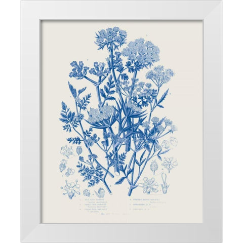 Flowering Plants IV Mid Blue White Modern Wood Framed Art Print by Wild Apple Portfolio