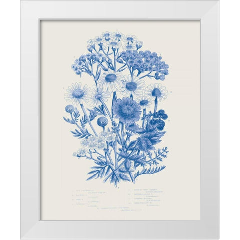 Flowering Plants V Mid Blue White Modern Wood Framed Art Print by Wild Apple Portfolio