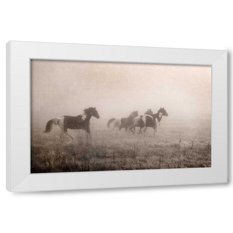 Paint Horses on the Run White Modern Wood Framed Art Print by Van Swearingen, Debra