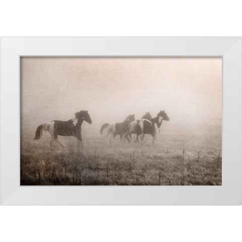 Paint Horses on the Run White Modern Wood Framed Art Print by Van Swearingen, Debra