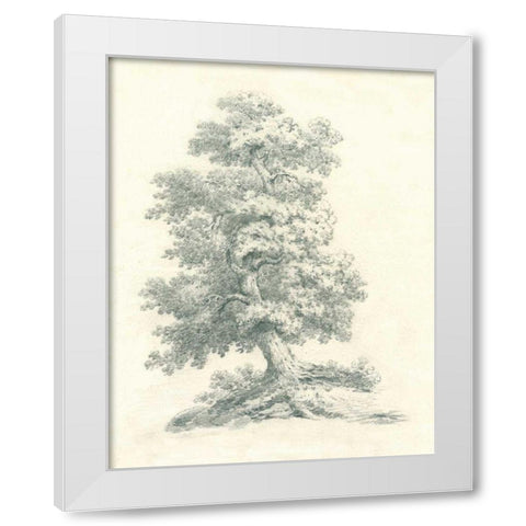 Tree Study II White Modern Wood Framed Art Print by Wild Apple Portfolio