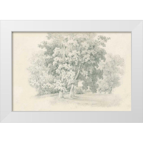 Edge of the Woods Sketch White Modern Wood Framed Art Print by Wild Apple Portfolio