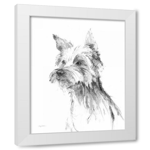 Yorkshire Terrier Sketch White Modern Wood Framed Art Print by Tillmon, Avery
