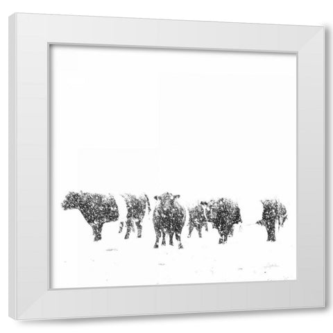 Oreos and Milk II Sq White Modern Wood Framed Art Print by Aledanda