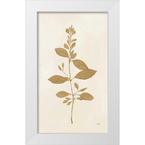 Botanical Study VIII Gold White Modern Wood Framed Art Print by Purinton, Julia