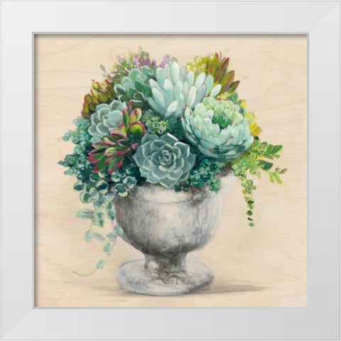 Festive Succulents I White Modern Wood Framed Art Print by Purinton, Julia