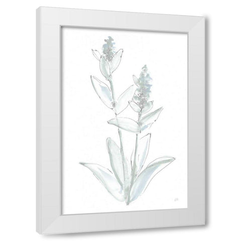 Lambs Ear Sage IV Bleached White Modern Wood Framed Art Print by Paschke, Chris