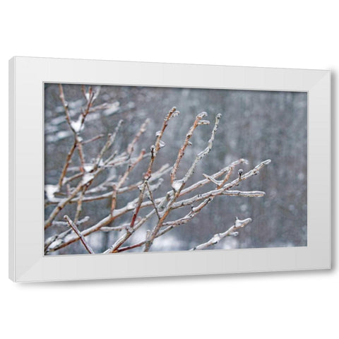 Glistening Branches I White Modern Wood Framed Art Print by Bradley, Felicity