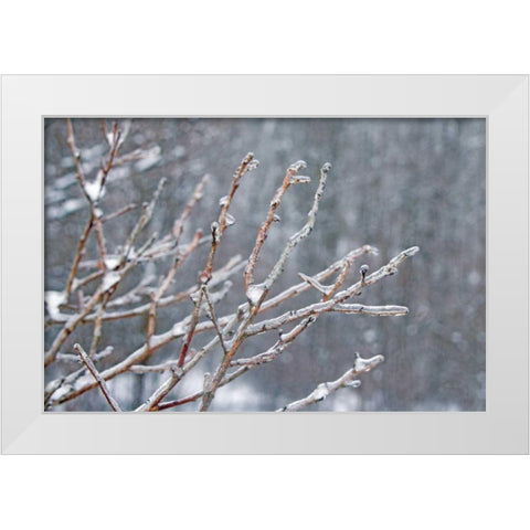 Glistening Branches I White Modern Wood Framed Art Print by Bradley, Felicity