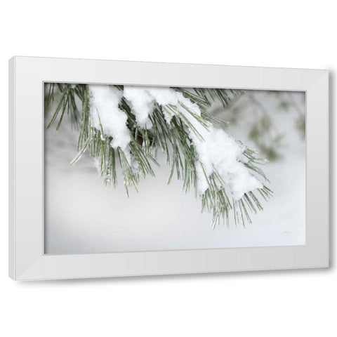 Snowy Bough White Modern Wood Framed Art Print by Bradley, Felicity