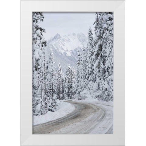 Mount Baker Highway II White Modern Wood Framed Art Print by Majchrowicz, Alan