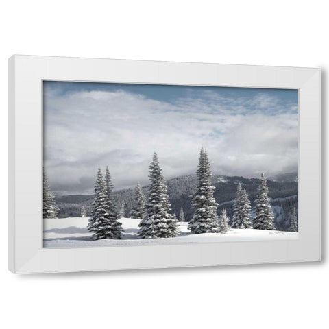 North Cascades in Winter II White Modern Wood Framed Art Print by Majchrowicz, Alan