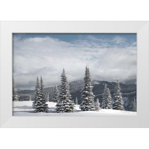 North Cascades in Winter II White Modern Wood Framed Art Print by Majchrowicz, Alan