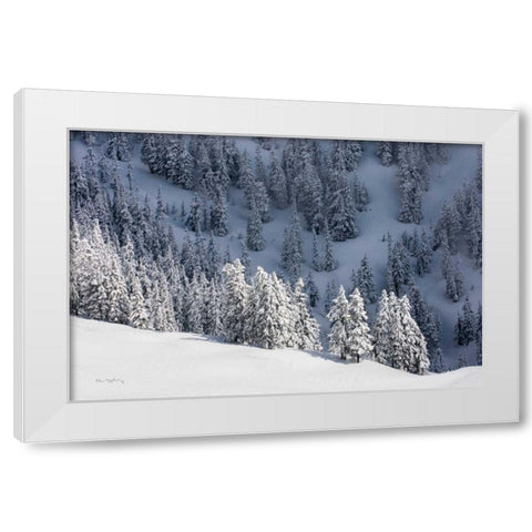 North Cascades in Winter III White Modern Wood Framed Art Print by Majchrowicz, Alan