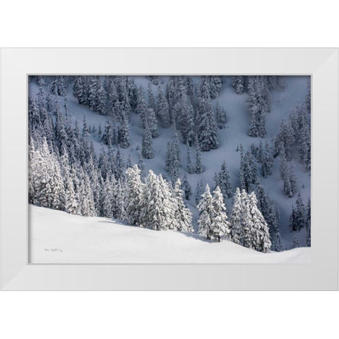 North Cascades in Winter III White Modern Wood Framed Art Print by Majchrowicz, Alan