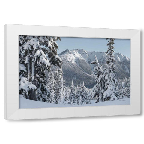 Nooksack Ridge in Winter White Modern Wood Framed Art Print by Majchrowicz, Alan