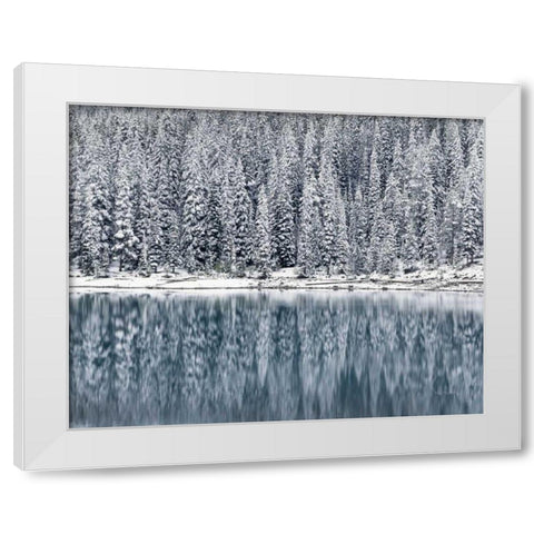 Winter Reflections White Modern Wood Framed Art Print by Majchrowicz, Alan