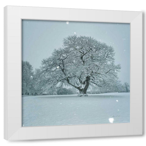 Winter Landscape III White Modern Wood Framed Art Print by Eichman, Andre