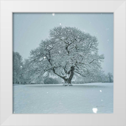 Winter Landscape III White Modern Wood Framed Art Print by Eichman, Andre