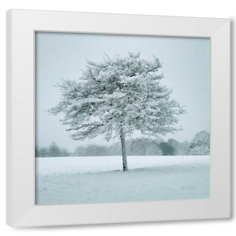 Winter Landscape IV White Modern Wood Framed Art Print by Eichman, Andre