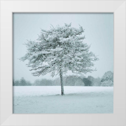 Winter Landscape IV White Modern Wood Framed Art Print by Eichman, Andre