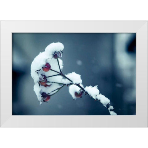 Light and Fluffy White Modern Wood Framed Art Print by Eichman, Andre