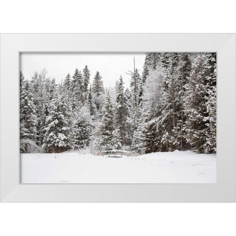 Over the Bridge White Modern Wood Framed Art Print by Aledanda