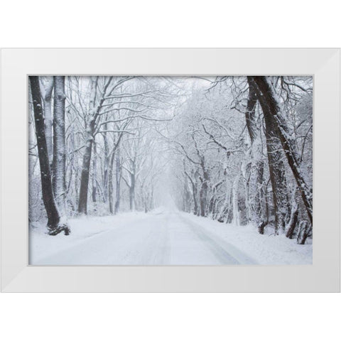 Going Home White Modern Wood Framed Art Print by Aledanda