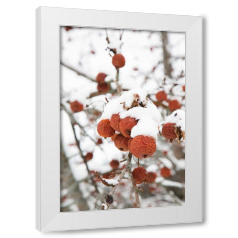 Snowcapped White Modern Wood Framed Art Print by Aledanda