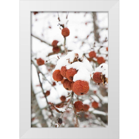 Snowcapped White Modern Wood Framed Art Print by Aledanda