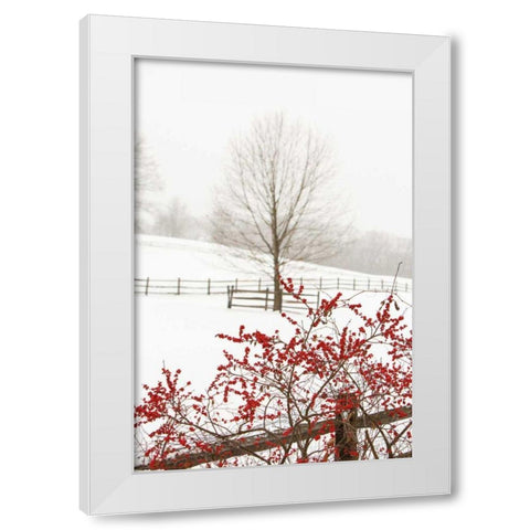 Red on White White Modern Wood Framed Art Print by Aledanda
