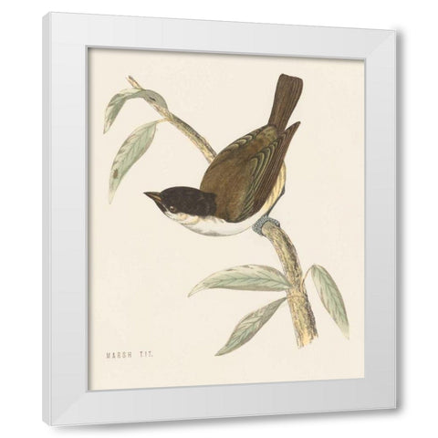 Engraved Birds II White Modern Wood Framed Art Print by Wild Apple Portfolio