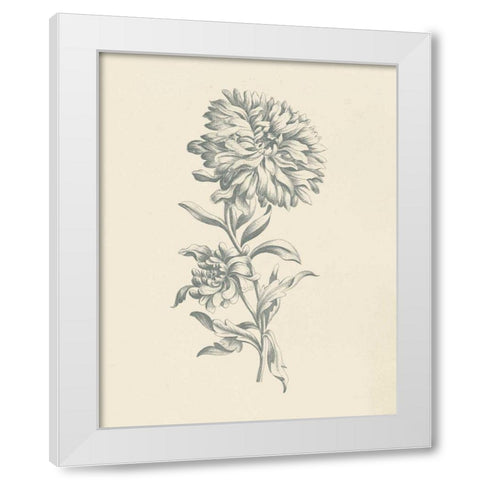 Eden Floral I White Modern Wood Framed Art Print by Wild Apple Portfolio