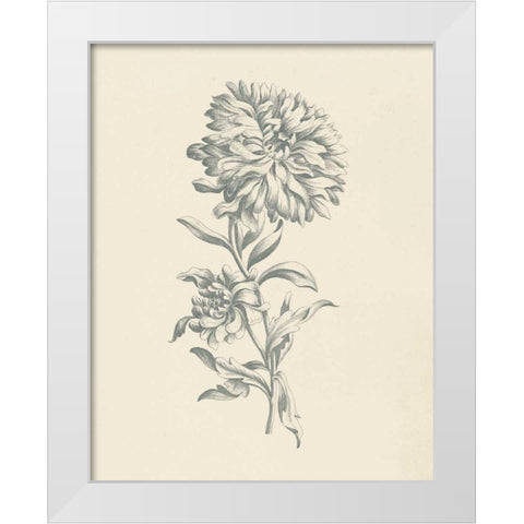 Eden Floral I White Modern Wood Framed Art Print by Wild Apple Portfolio