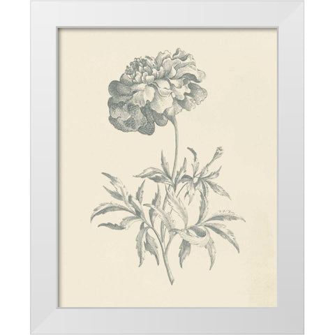 Eden Floral II White Modern Wood Framed Art Print by Wild Apple Portfolio