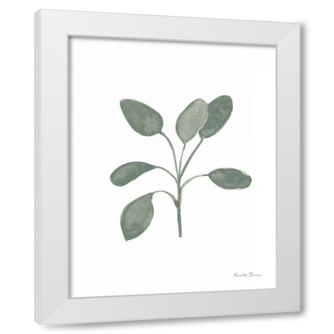 Fresh and Green VII Dark White Modern Wood Framed Art Print by Zaman, Farida
