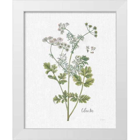 Cottage Herbs III Linen White Modern Wood Framed Art Print by Schlabach, Sue